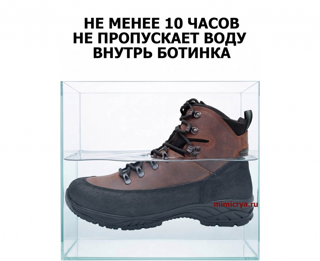 00000139339_2.1_для статьи.jpg 00000139339_2.1_для статьи.jpg