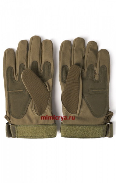 OLIVE_2